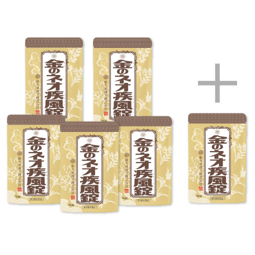 金のネオ疾風錠90錠 おまとめ5袋+90錠1袋付